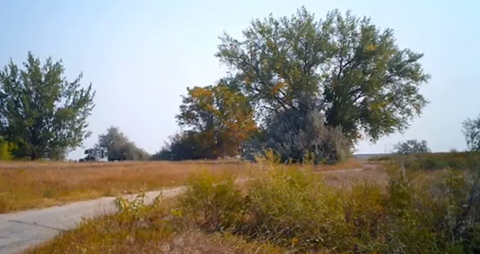 Ocean Lake WHMA Northwest Campground Area Picture 3