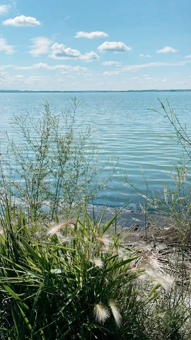 Ocean Lake WHMA Northwest Campground Area Picture 2