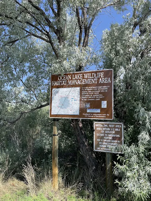 Ocean Lake WHMA Northwest Campground Area Picture 7