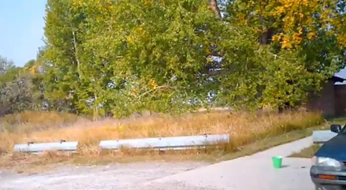 Ocean Lake WHMA Northwest Campground Area Picture 5