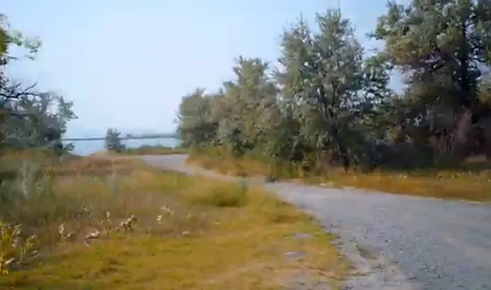 Ocean Lake WHMA Northwest Campground Area Picture 10