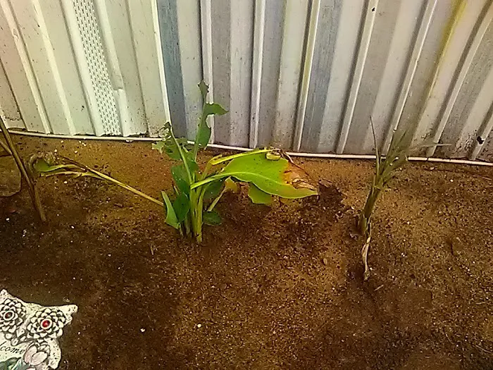 Hillside Mobile Home Park Picture 1