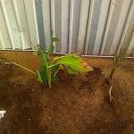 Hillside Mobile Home Park