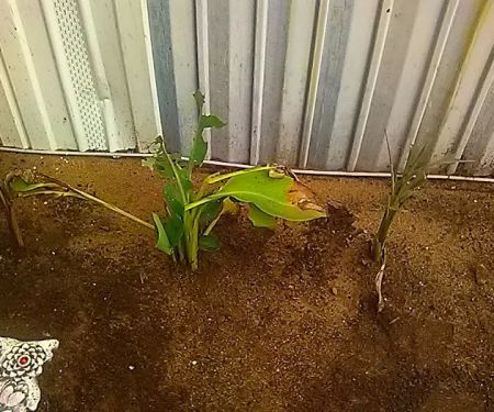 Hillside Mobile Home Park