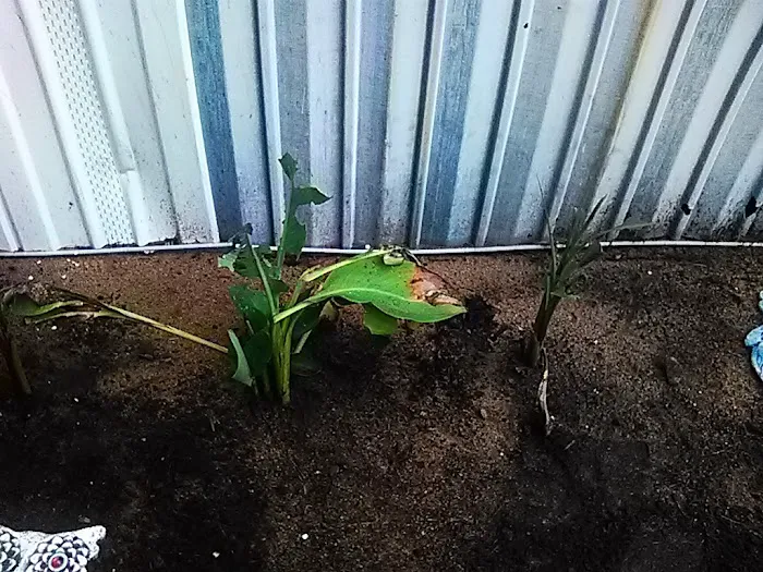 Hillside Mobile Home Park Picture 2