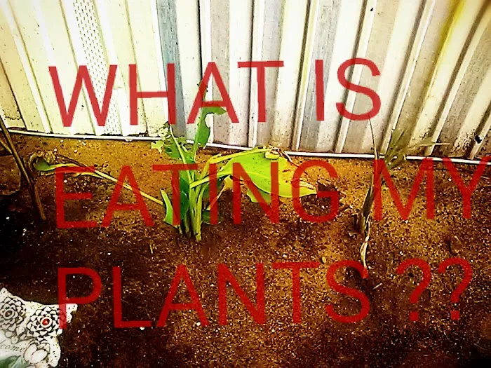 Hillside Mobile Home Park Picture 3