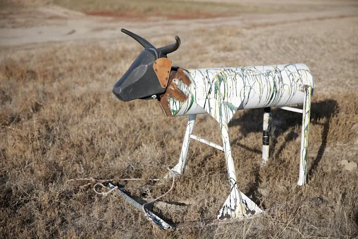 Jim Moss Arena Campground Picture 8