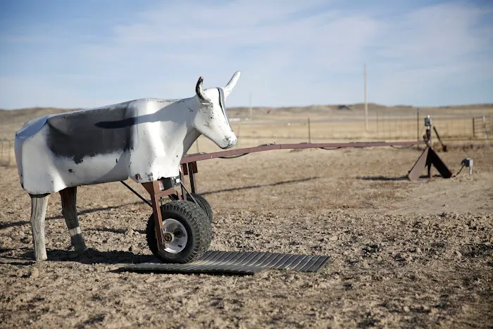 Jim Moss Arena Campground Picture 7