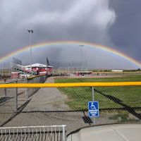 Forestry Department ico