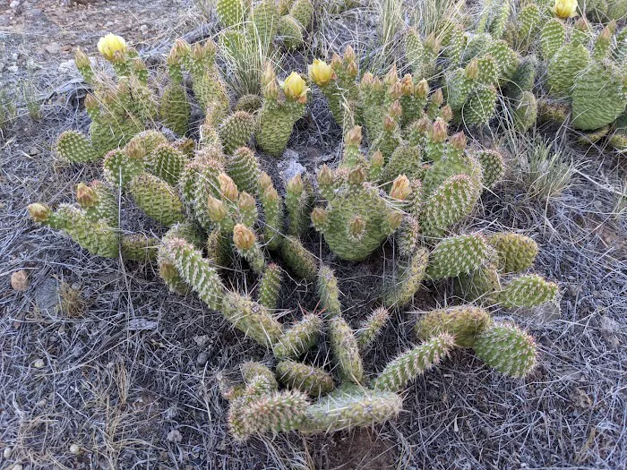 Little Creek Campground Picture 7