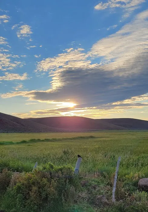 Little Creek Campground Picture 5