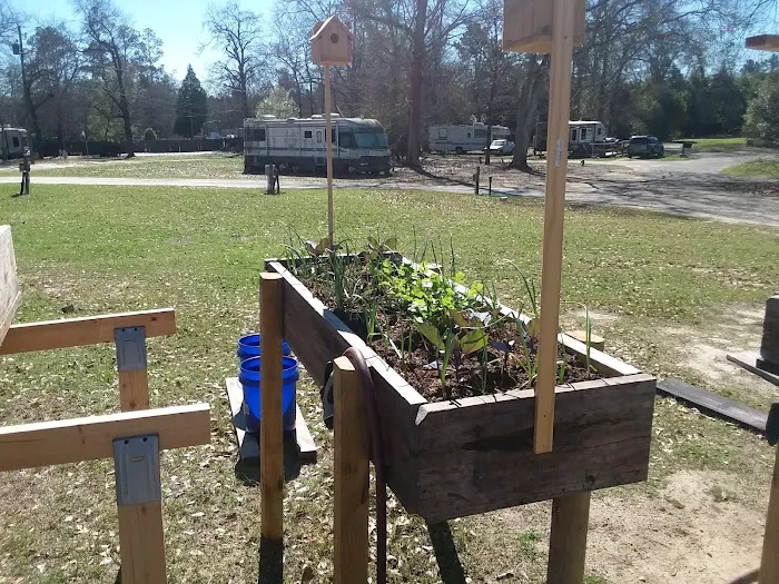 Peach Orchard RV Park & Campground Picture 1