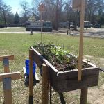 Peach Orchard RV Park & Campground