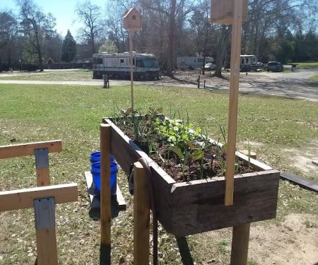 Peach Orchard RV Park & Campground