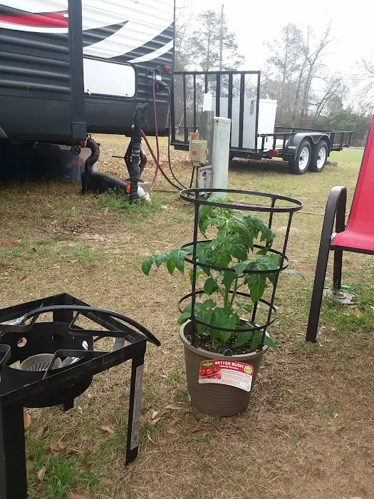 Peach Orchard RV Park & Campground Picture 8