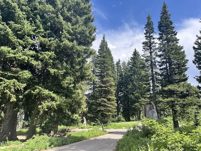 Monte Cristo Campground Picture 3