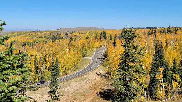 Monte Cristo Campground Picture 4