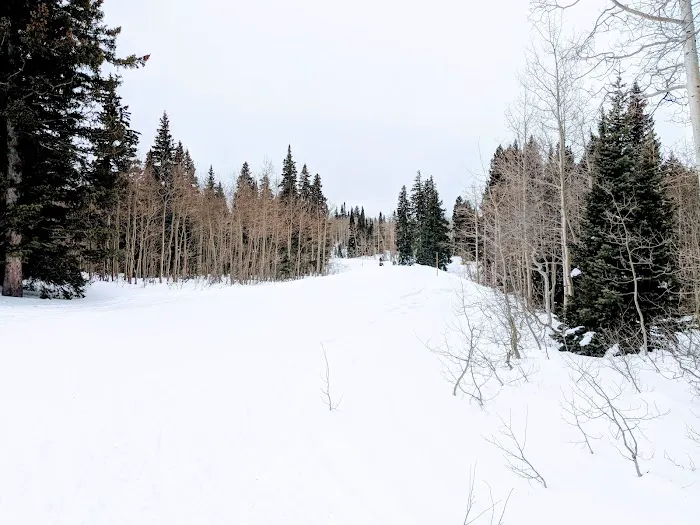 Monte Cristo Campground Picture 6