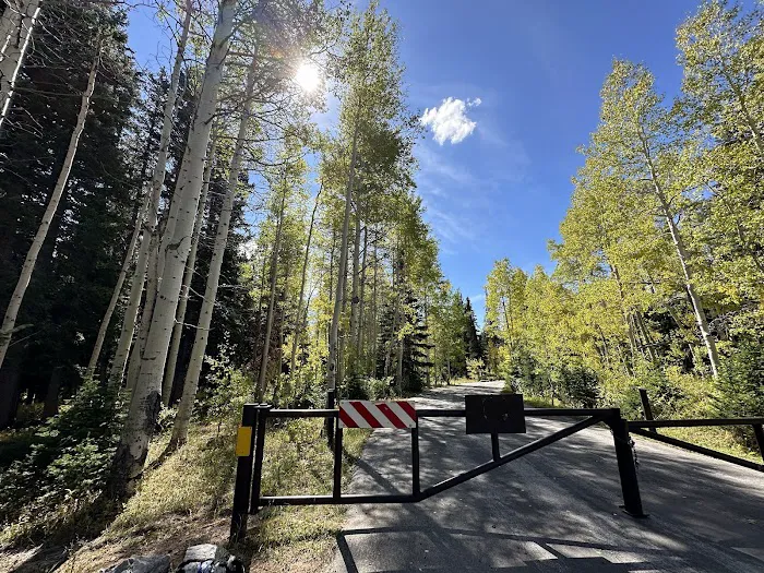 Monte Cristo Campground Picture 7