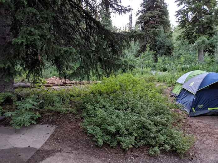 Monte Cristo Campground Picture 5