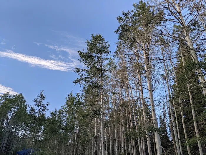 Monte Cristo Campground Picture 10