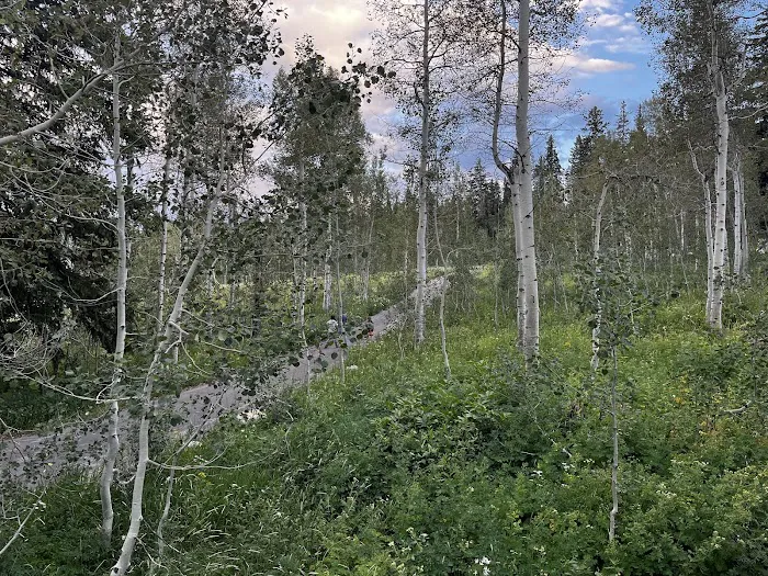 Monte Cristo Campground Picture 9