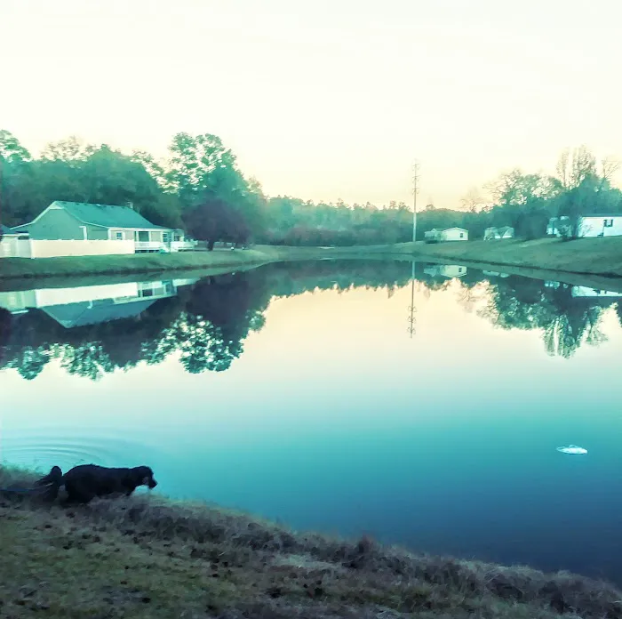 Butler Creek Mobile Home Community Picture 7