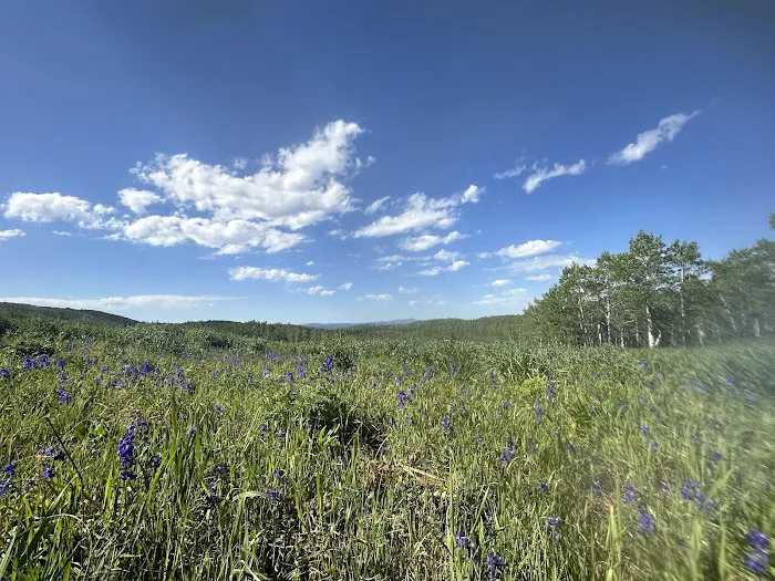 Dry Bread Pond Picture 3