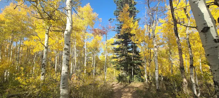 Dry Bread Pond Picture 7