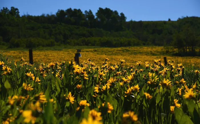 Dry Bread Pond Picture 8