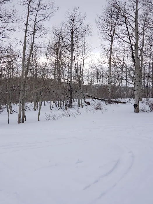 Dry Bread Pond Picture 9