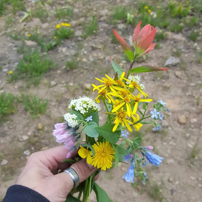 Dry Bread Pond Picture 10
