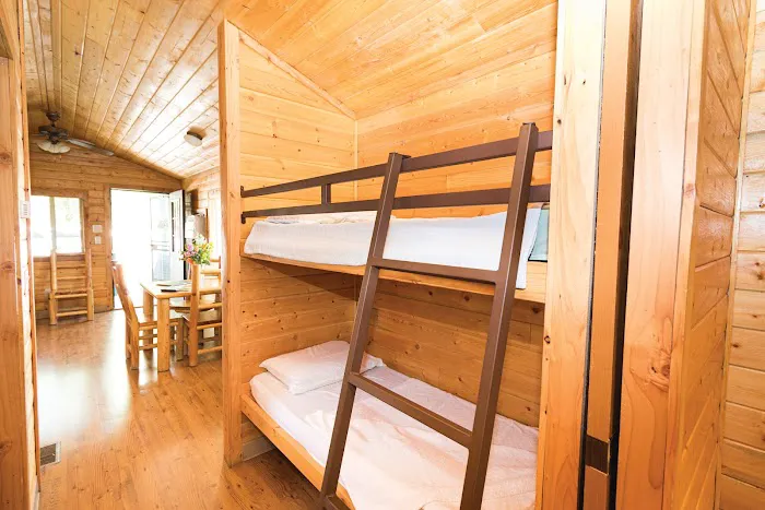 Cody / Yellowstone East KOA Holiday Picture 2