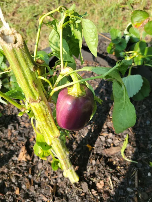 Oak Grove MHP Picture 1