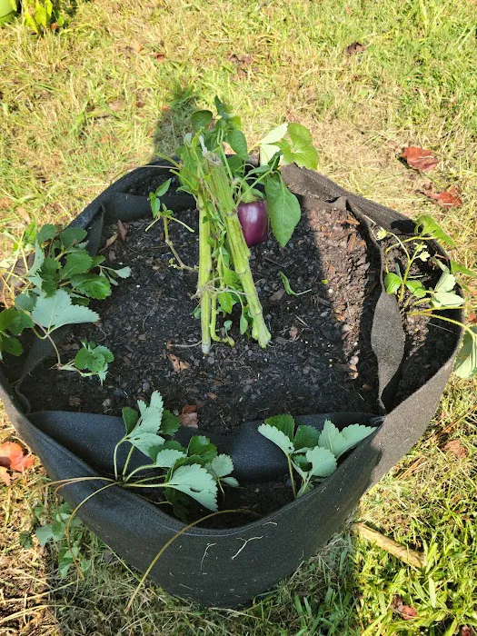 Oak Grove MHP Picture 4