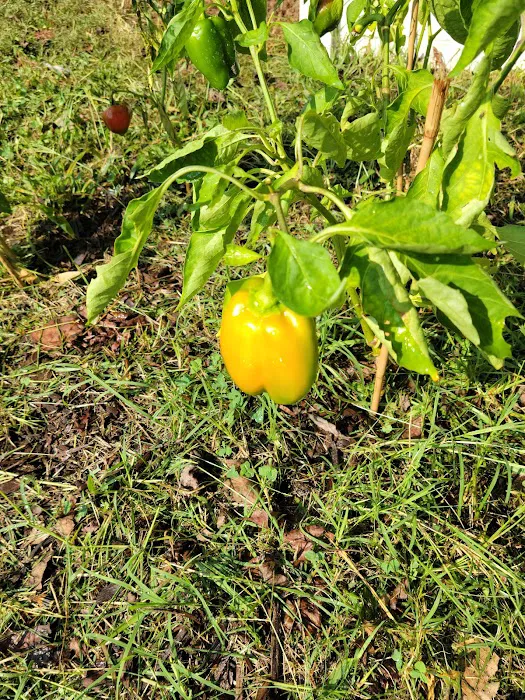 Oak Grove MHP Picture 5