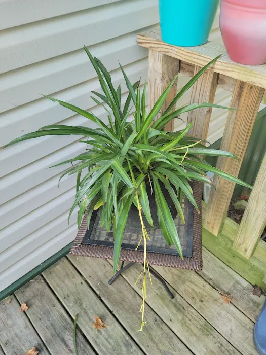 Oak Grove MHP Picture 6