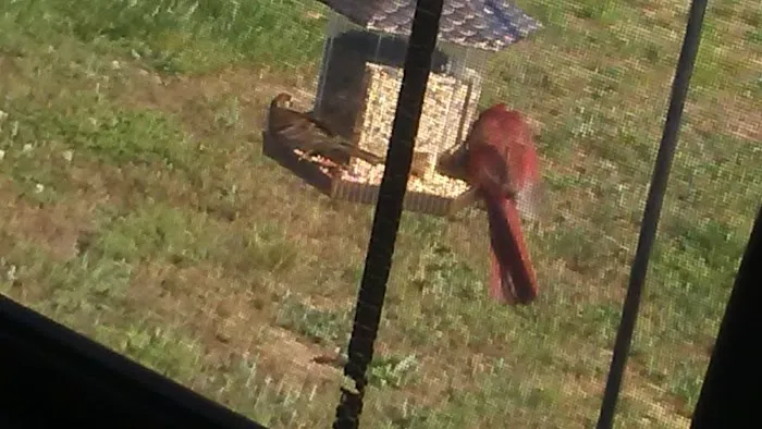 Peach Blossom Mobile Home Park Picture 1