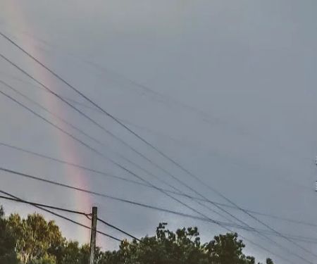 Cedar Grove Mobile Home Park