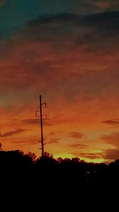 Cedar Grove Mobile Home Park Picture 2