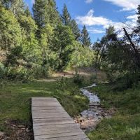 Camp Cumorah ico