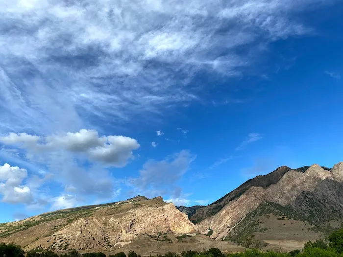 Willard Peak Campground Picture 9