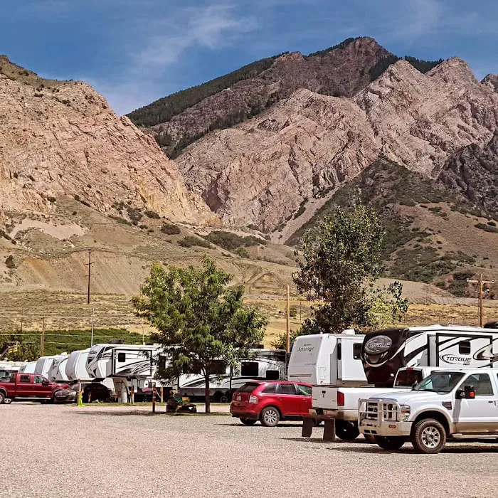 Willard Peak Campground Picture 7