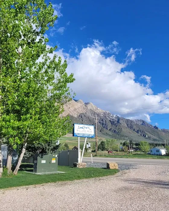 Willard Peak Campground Picture 10