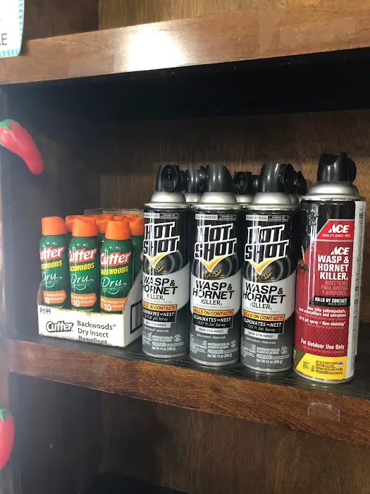 Atlanta Marietta RV Park Picture 8