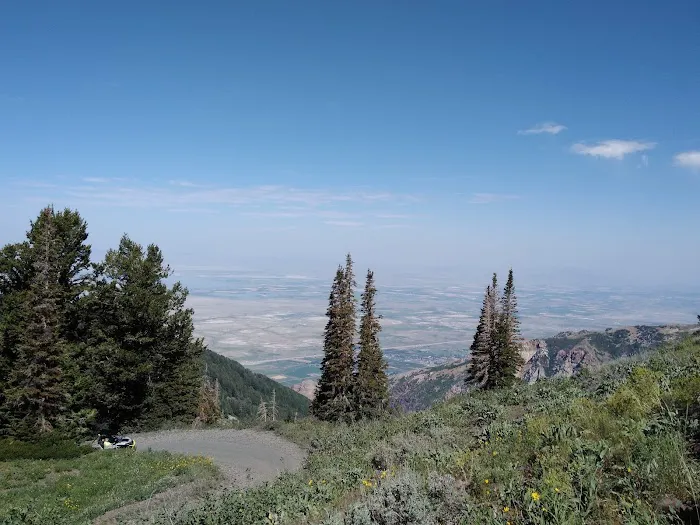 Willard Basin Campground Picture 2