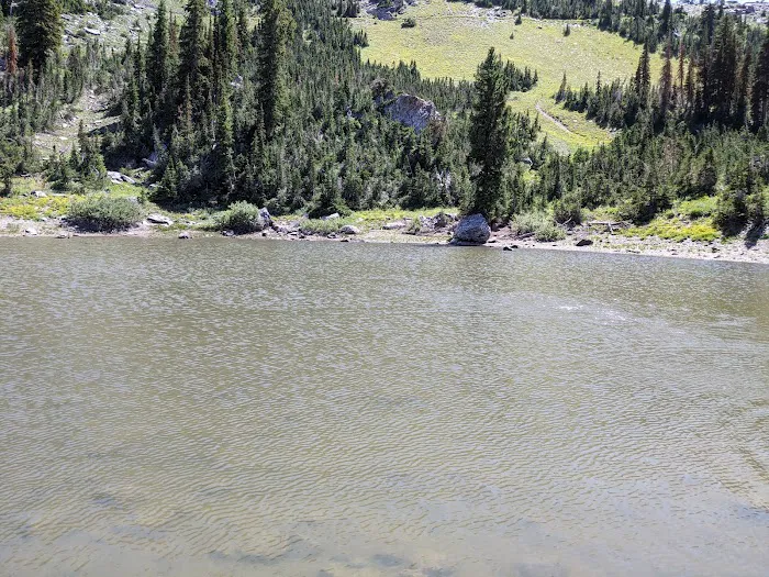 Willard Basin Campground Picture 5