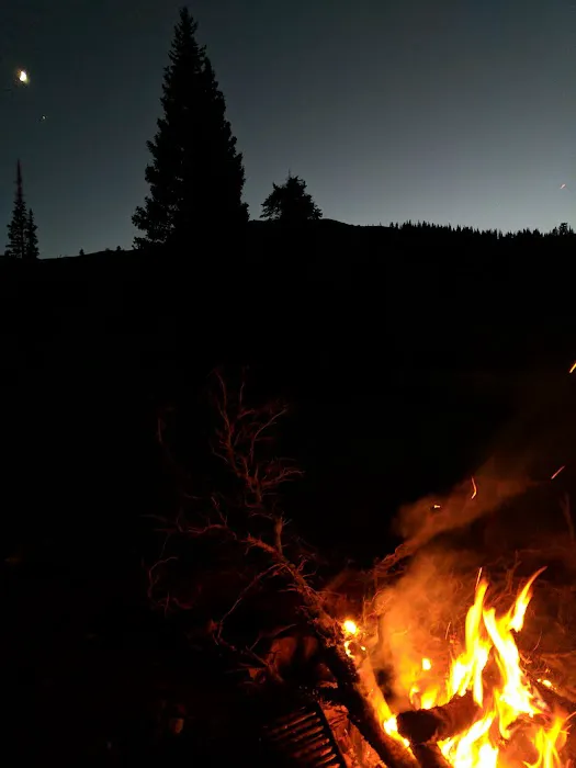 Willard Basin Campground Picture 7