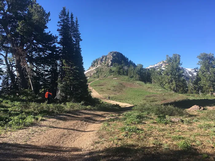 Willard Basin Campground Picture 9