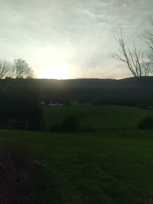 S & J RV Park Picture 1